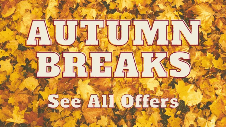 Untitled (1600 x 1200 px)