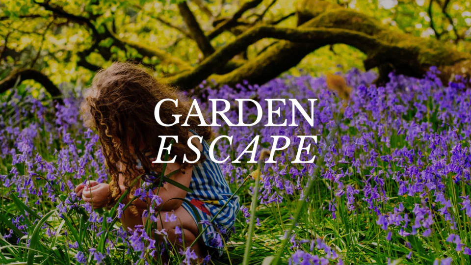 Child playing among vibrant purple flowers in lush hotel garden, under a canopy of green trees, enjoying nature.