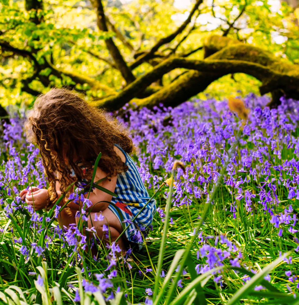 Child enjoying vibrant bluebells in scenic hotel garden; lush trees and tranquil nature.